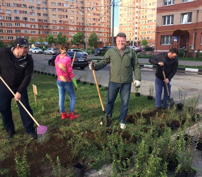 Посади дерево!